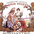 CUBAN LA HOJA SELECTA CIGARS IMAGE ART