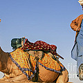 Desert Dance Of The Dromedary and The Camel Driver