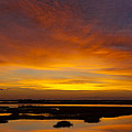 MESSAGE FROM THE UNIVERSE  Sunrise Photograph By Jo Ann Tomaselli